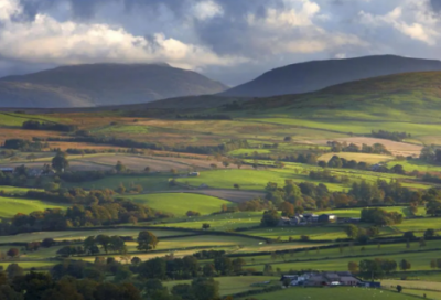 ​一碗水端平造句,用一碗水端平怎么造句