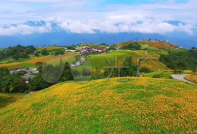 ​想来造句,用想来怎么造句