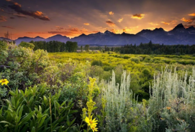 ​眷造句,用眷怎么造句