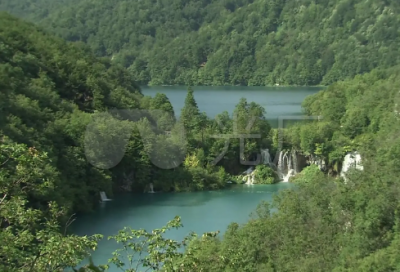 ​垂柳造句,用垂柳怎么造句