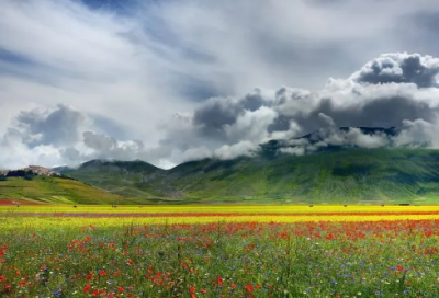 ​骗了造句,用骗了怎么造句