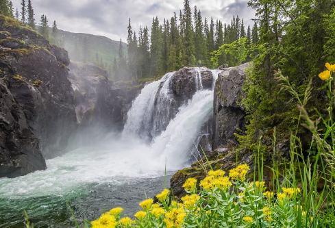 1699516274881865.png image.png