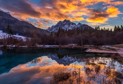 1699518443599769.png image.png