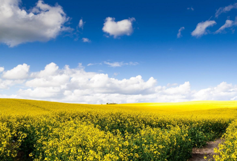 1699521476495599.png image.png