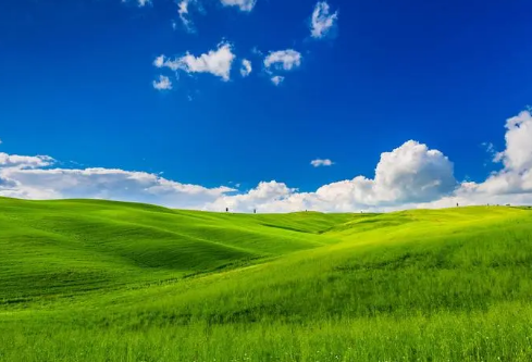 1699525673967079.png image.png