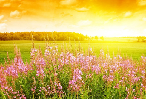 1699532629629551.png image.png