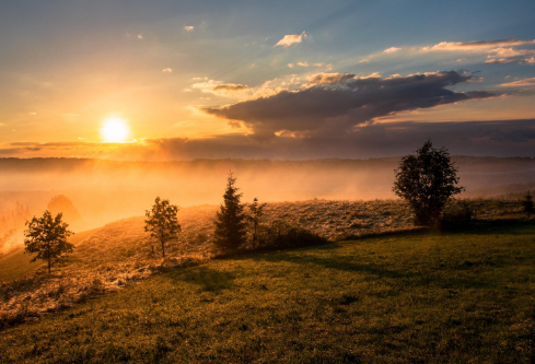 1699533806549756.png image.png