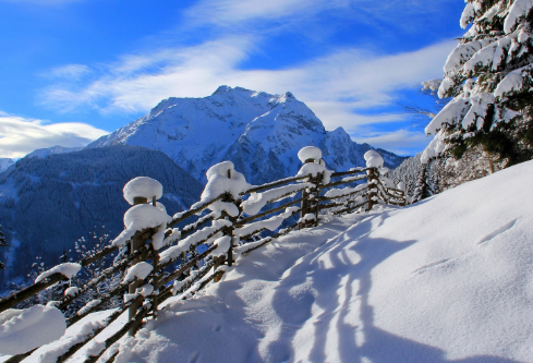 1699539853543172.png image.png