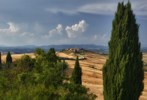 1699544059821221.png image.png