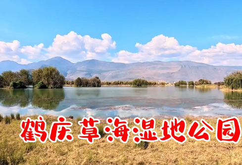 1699546214324654.png image.png