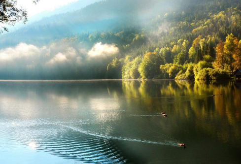 1699546381492397.png image.png