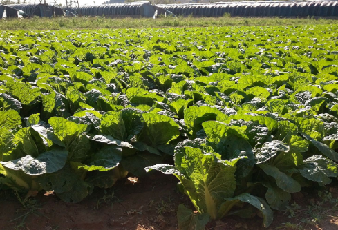 1699548217834739.png image.png