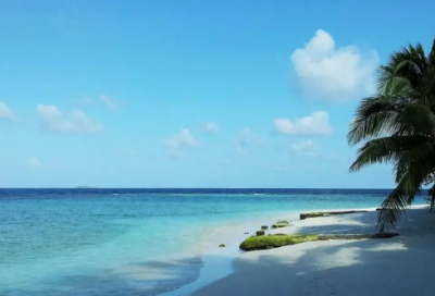 ​诗情画意造句