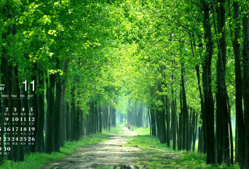 1699552586440964.png image.png