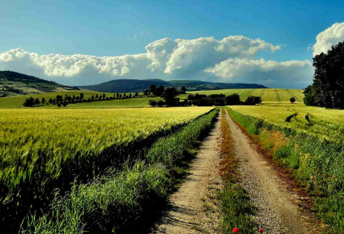 1699555116430282.png image.png