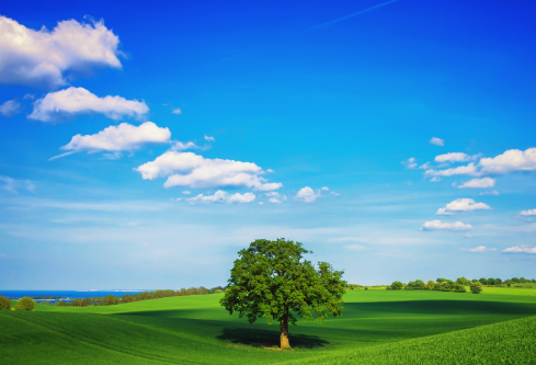 1699555442939413.png image.png