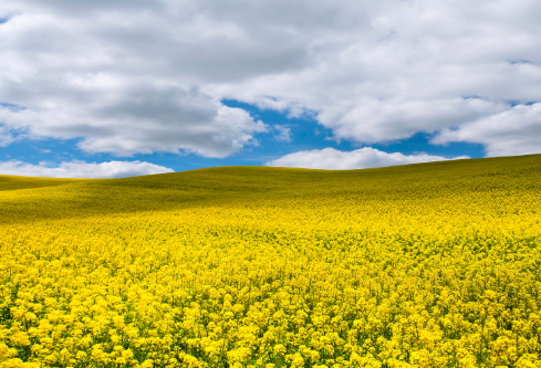 1699555791390319.png image.png