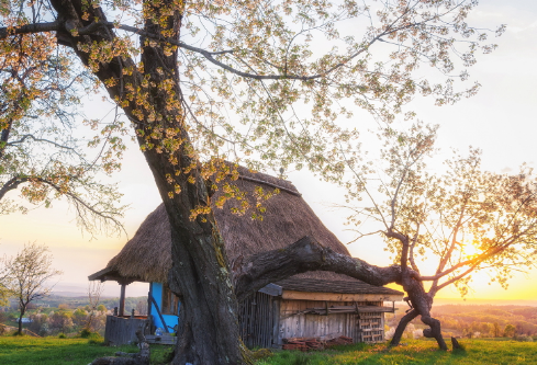 1699556295780329.png image.png