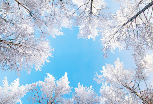 1699557471456024.png image.png