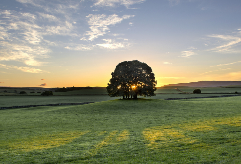 1699557806881891.png image.png