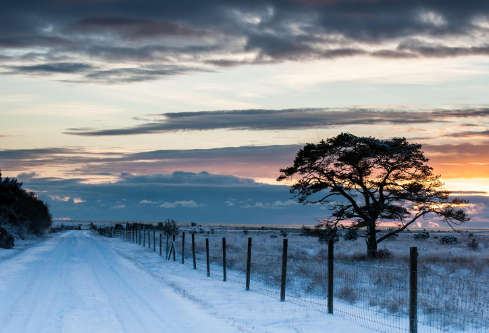 1699558644796781.png image.png