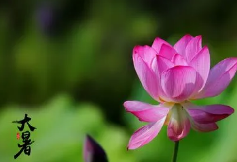 1699595979589265.png image.png