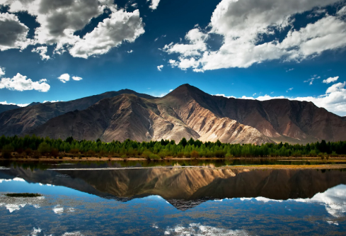 1699596818493995.png image.png