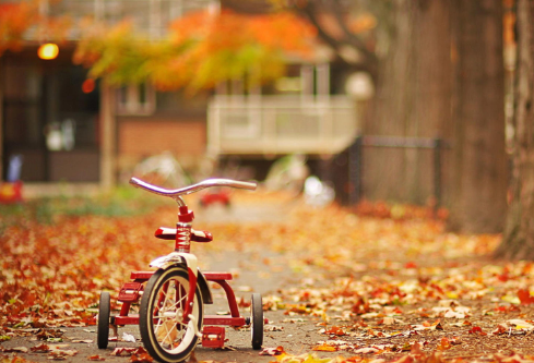 1699597155604165.png image.png