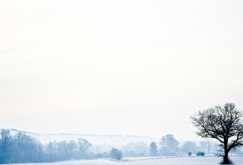 1699598333214587.png image.png