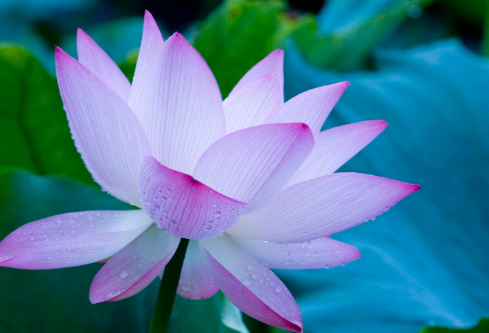 1699600850221872.png image.png