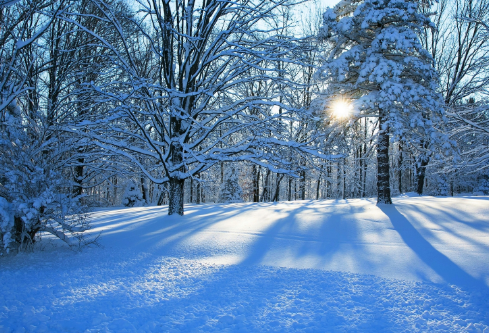 1699601356260169.png image.png