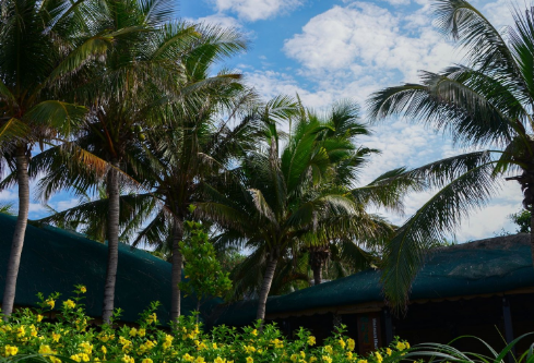 1699607577888513.png image.png