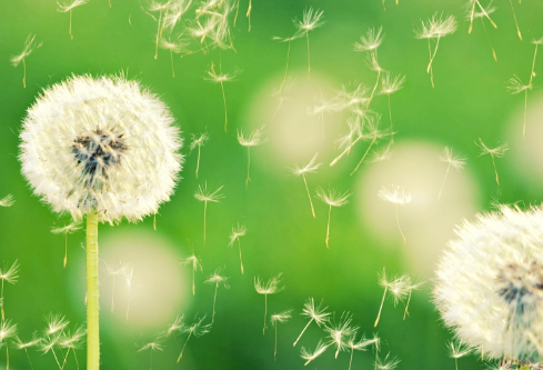 1699609080942170.png image.png