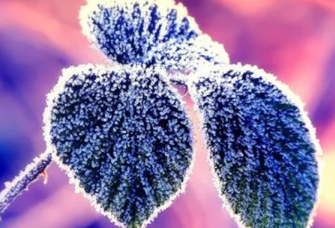 1699609596648600.png image.png