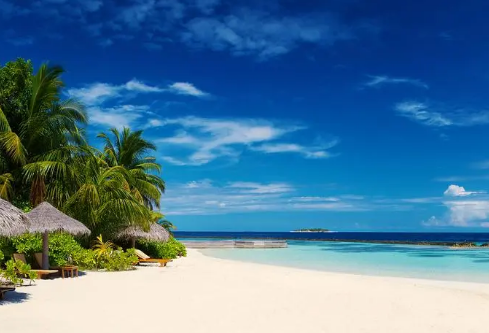 1699610101289245.png image.png