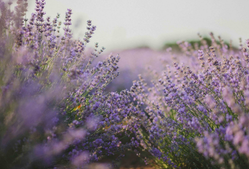 1699610773251010.png image.png