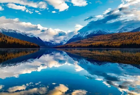 1699610927956527.png image.png