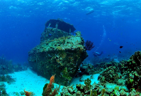 1699613131149483.png image.png