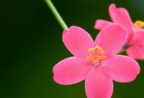 1699614800101409.png image.png