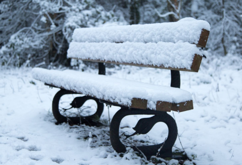 1699615818578972.png image.png