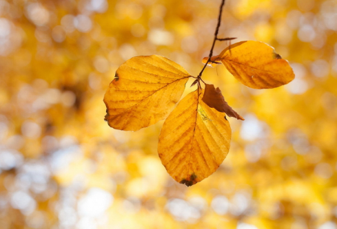 1699617159960012.png image.png