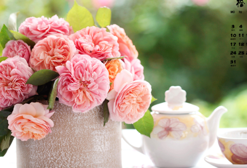 1699618004968192.png image.png