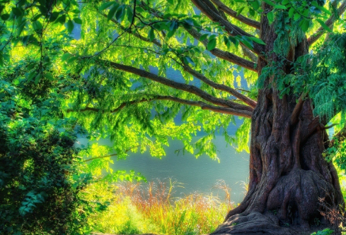 1699618169411210.png image.png