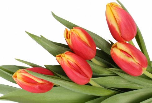 1699618339793060.png image.png