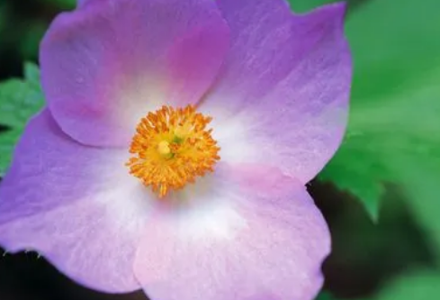 1699619339815633.png image.png