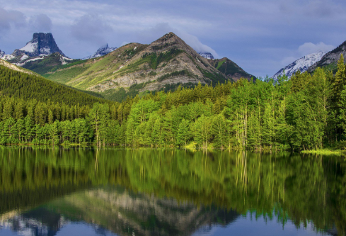 1699619511449640.png image.png