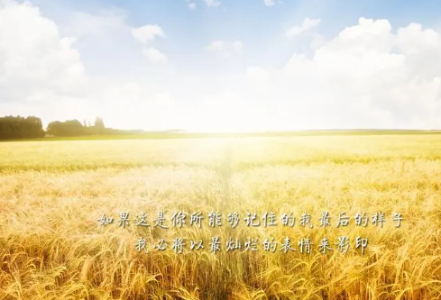 1699620021575959.png image.png