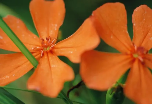 1699621030292278.png image.png