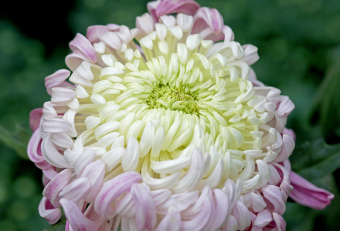 1699621362607940.png image.png