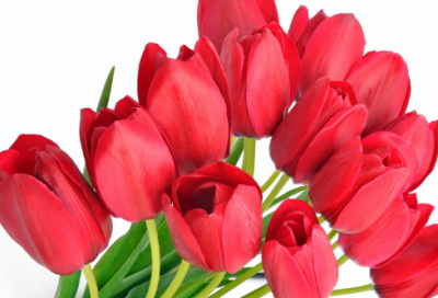 ​秽造句,用秽怎么造句